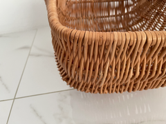 Willow Basket - PlanetVine
