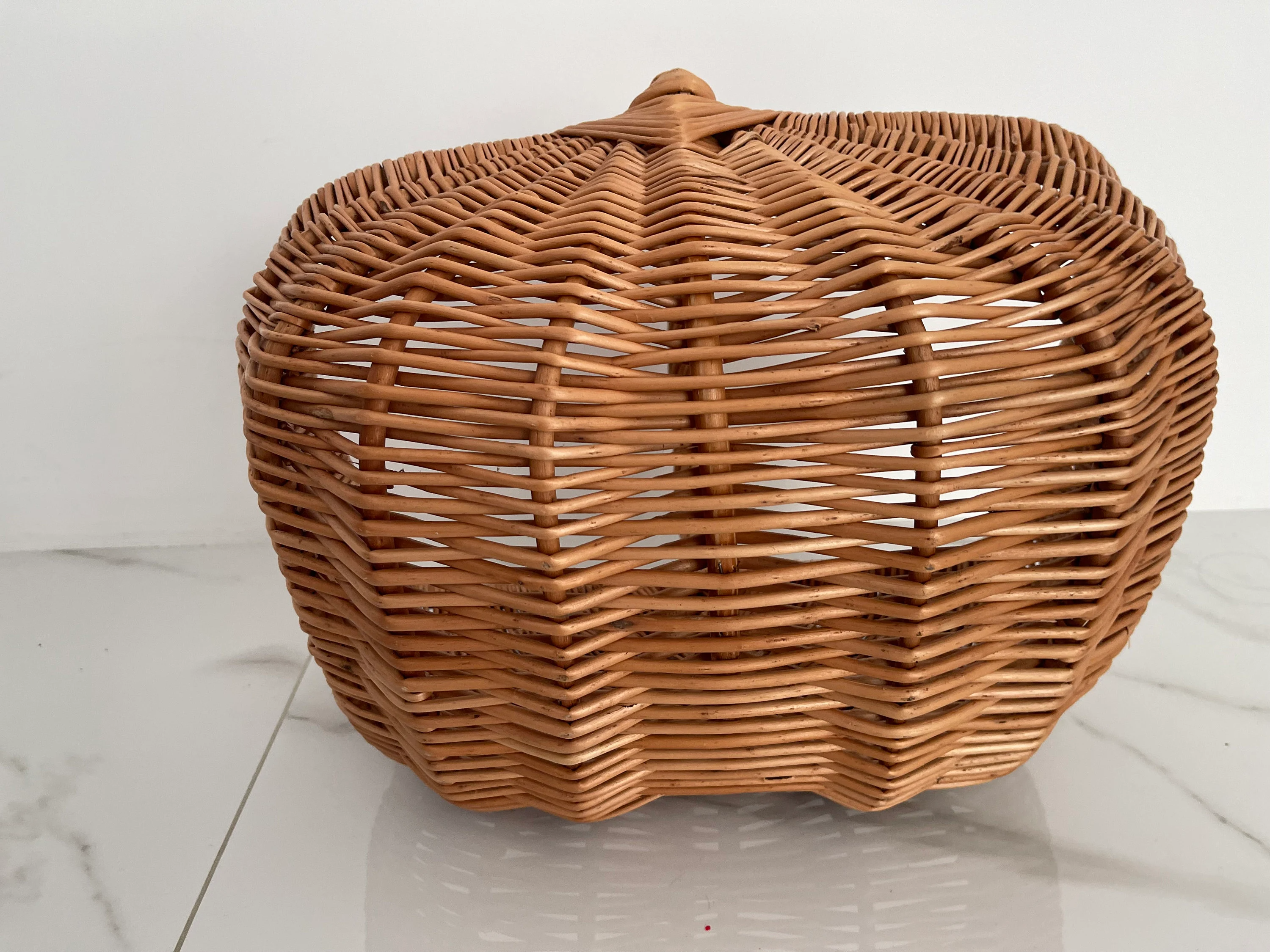 Willow Basket - PlanetVine