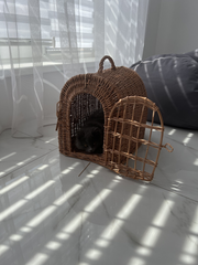 Wicker Pet Carrier - PlanetVine